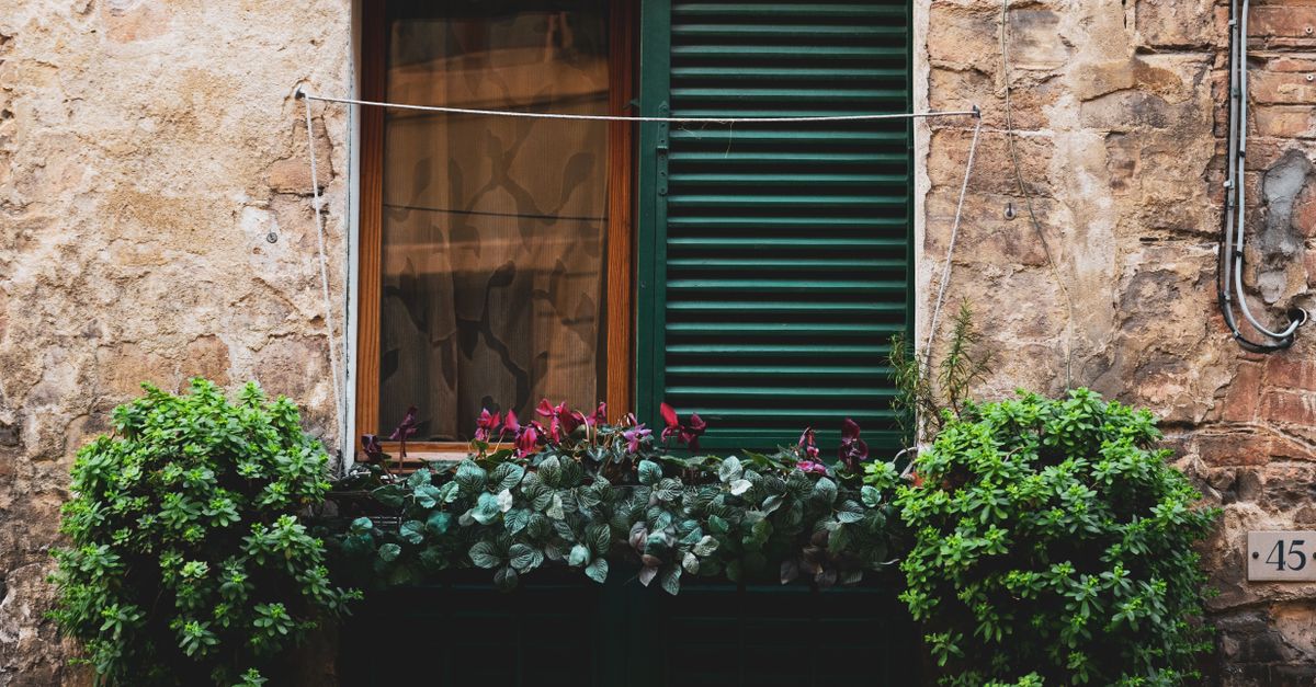 Recommendations for Regular Maintenance of Plantation Shutters